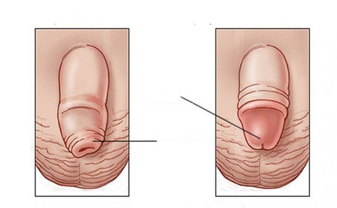 Which task of the lubricant